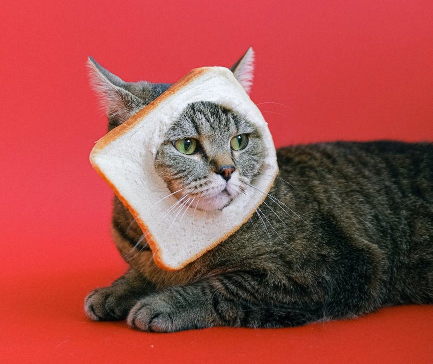 Making the decoding graph